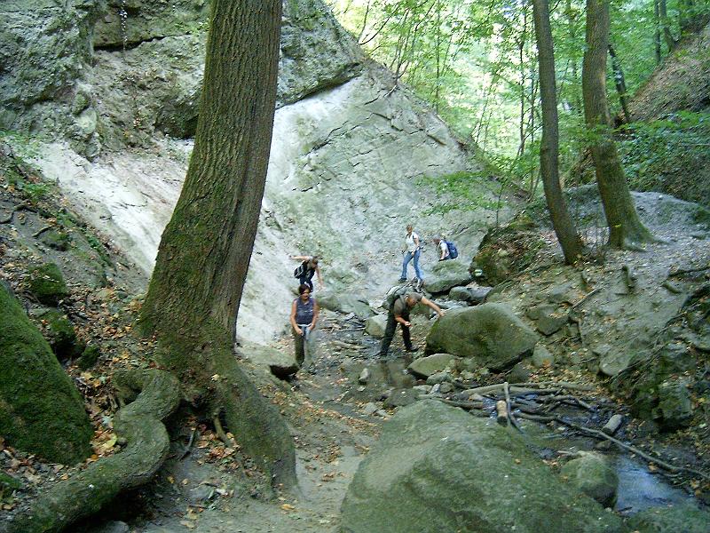szate 2011.09.17 (045).jpg